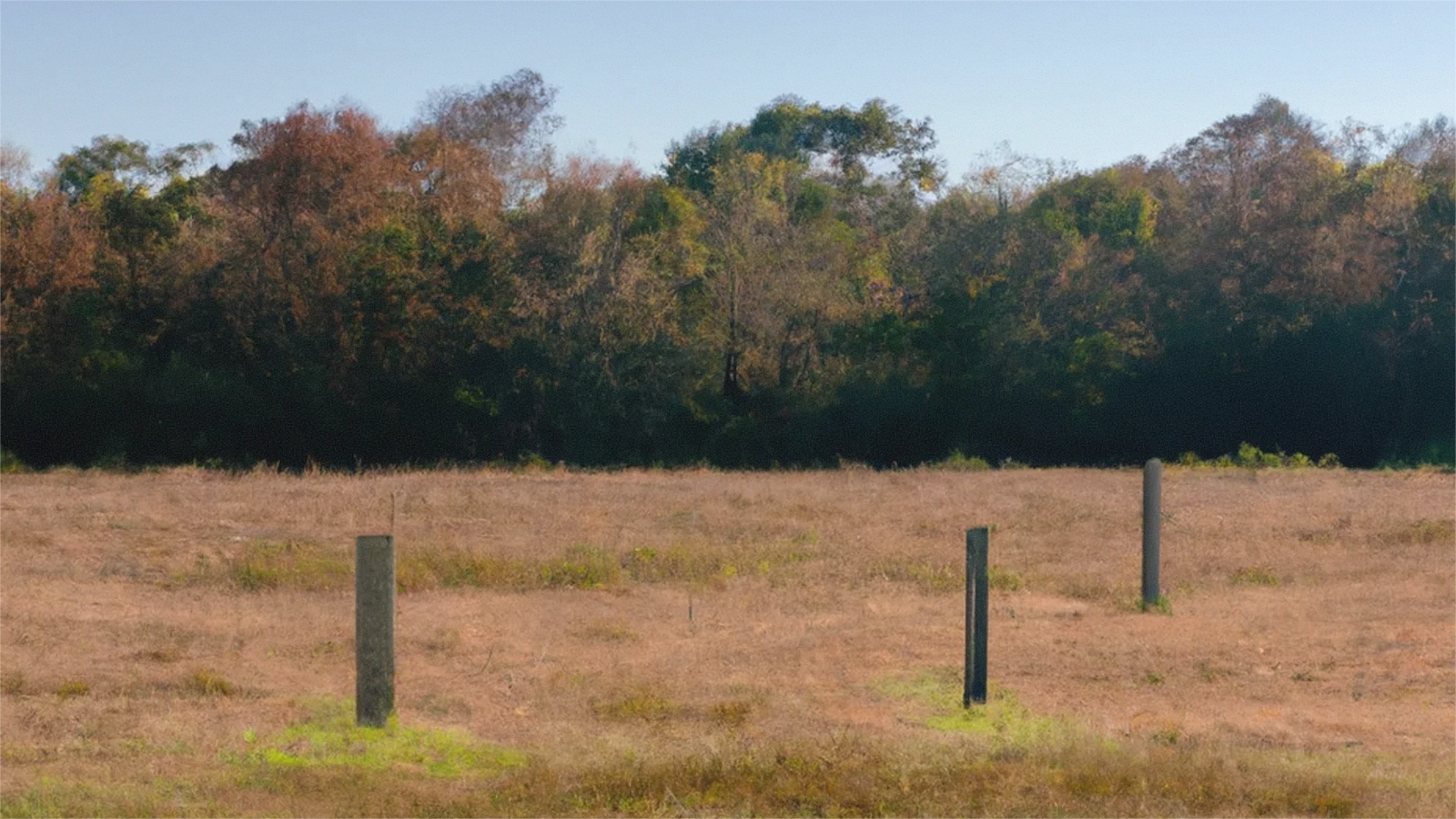 Open Tennessee land access road near Gibson County
